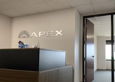 Apex Systems